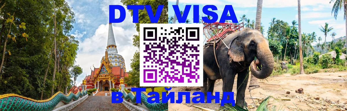 Оформление DTV визы под ключ: стоимость и тарифы, только загранпаспорт - Грозный  20.11.2025 